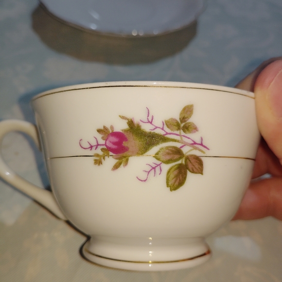 Rose Teacup and Saucer Set - Japan - Picture 6 of 14